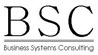 Business Systems Consulting